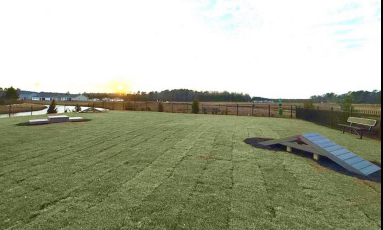 526 Carver Willow Dr.  Photo 26