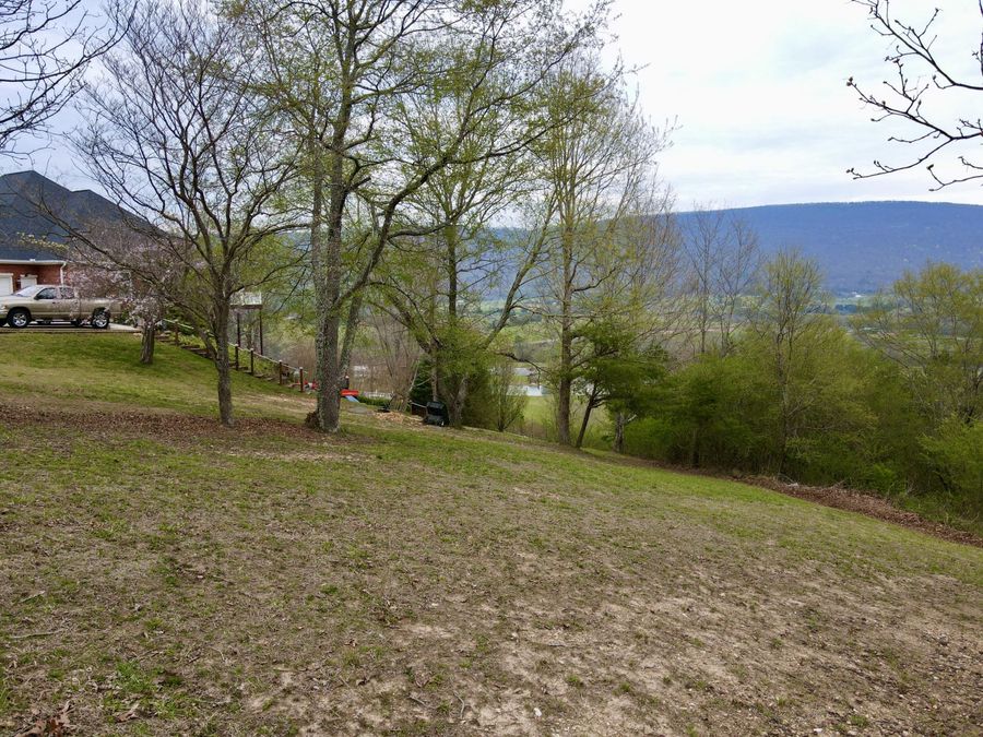 Property Image 43
