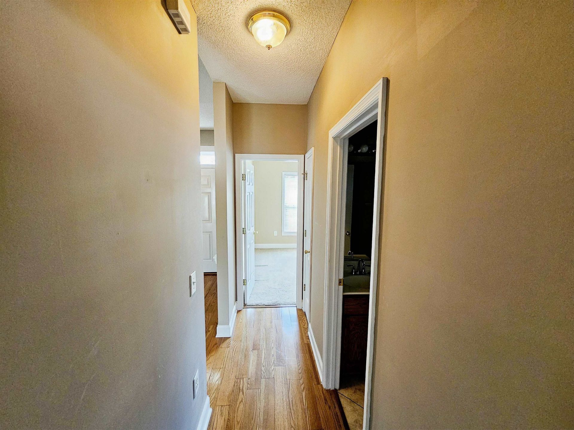 3995 Costie Allen Rd. Photo 20