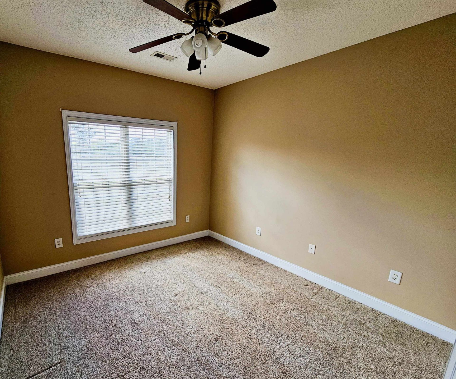 3995 Costie Allen Rd. Photo 23