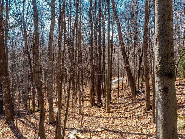 78 Captain Copeland Road, Unit Lot #2, Dover, VT 05341