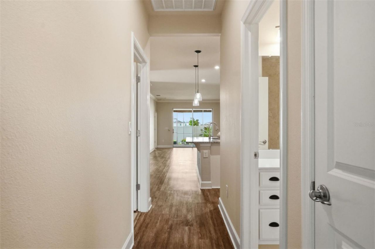 10335 Heron Hideaway Loop, Land O Lakes, FL 34638 Photo
