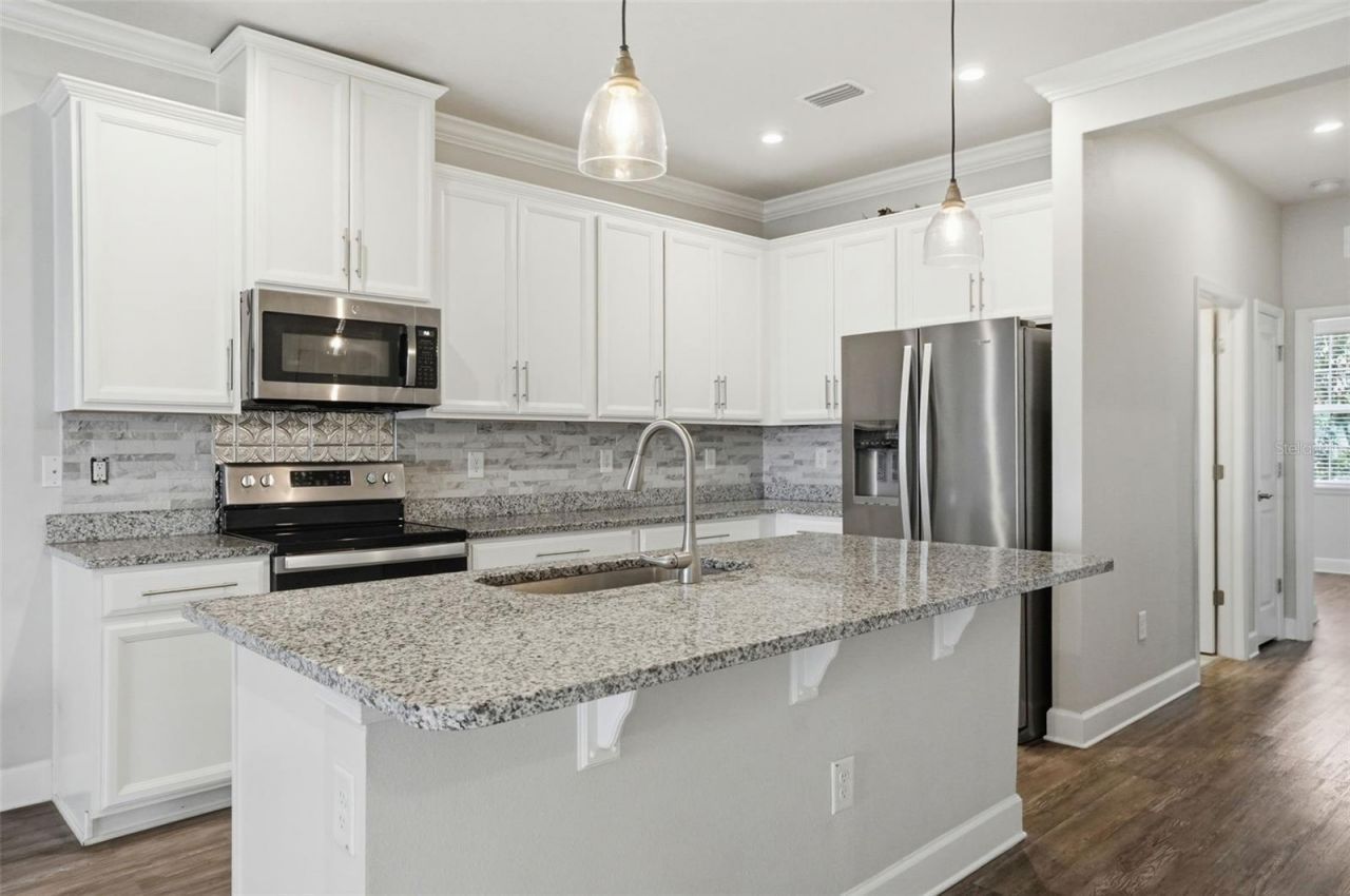 10335 Heron Hideaway Loop, Land O Lakes, FL 34638 Photo