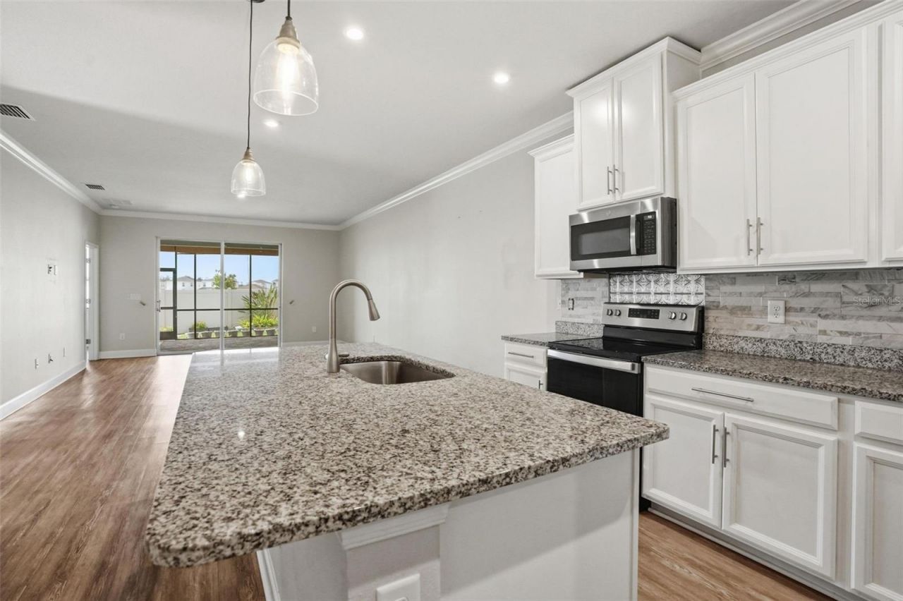 10335 Heron Hideaway Loop, Land O Lakes, FL 34638 Photo