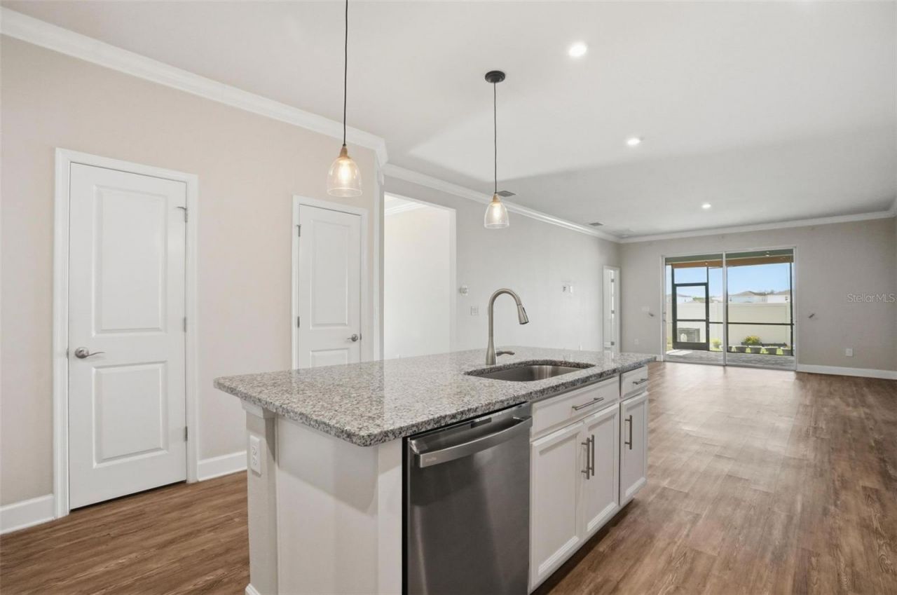10335 Heron Hideaway Loop, Land O Lakes, FL 34638 Photo
