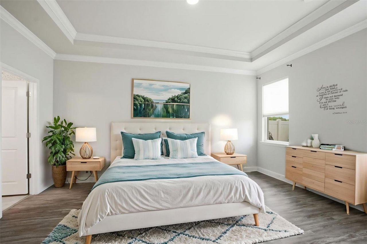 10335 Heron Hideaway Loop, Land O Lakes, FL 34638 Photo
