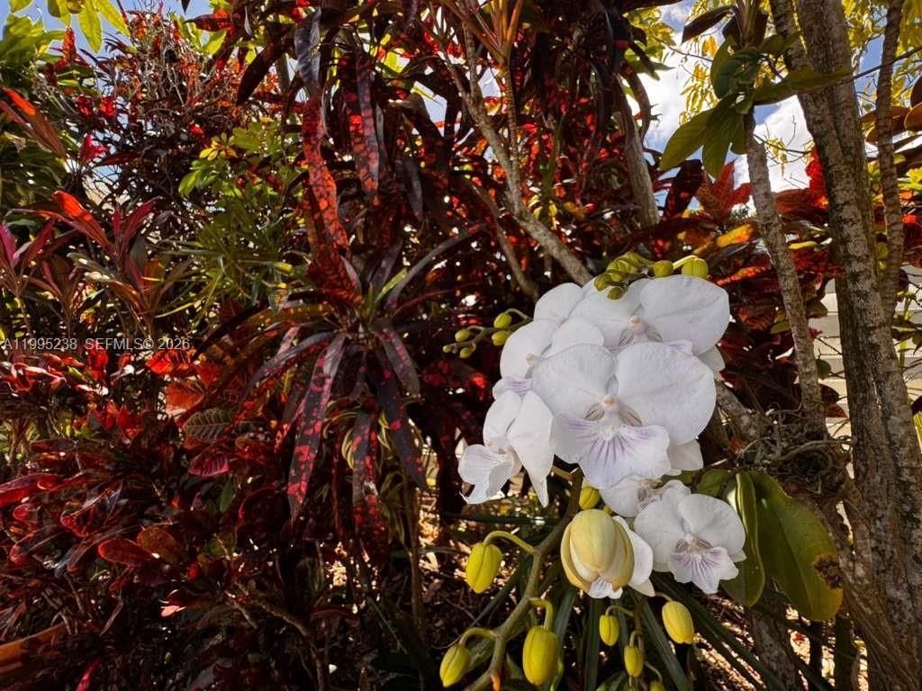 15032 SW 143rd Ave, Miami, FL 33186 Photo