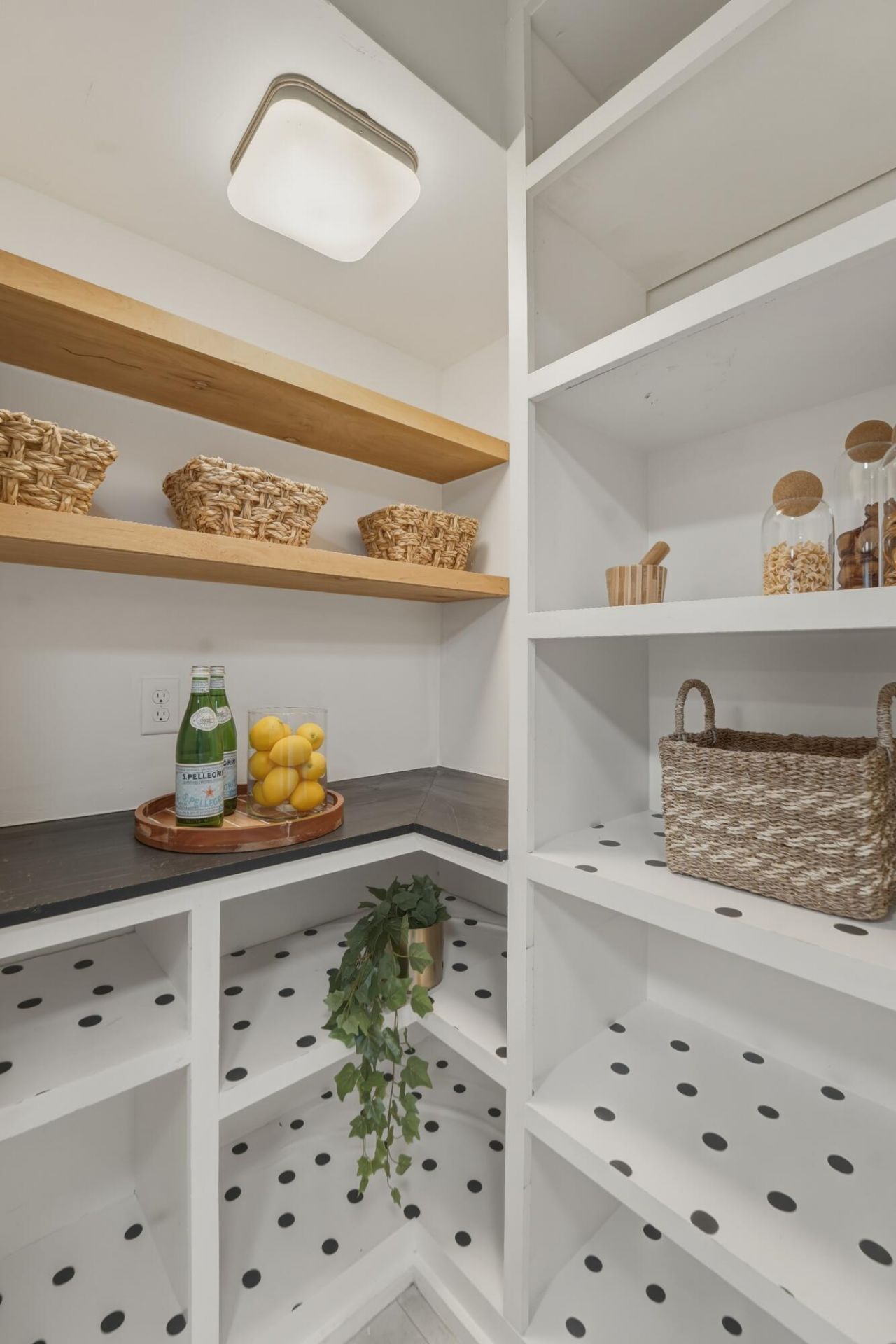 1221 Valley Forge Drive Photo 16