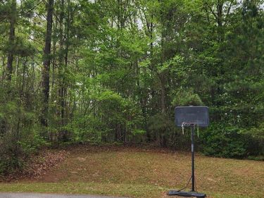 126 W Silver Belle Drive, Zebulon, NC 27597