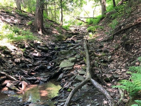 Dingman Hill Road , Bainbridge, NY 13733