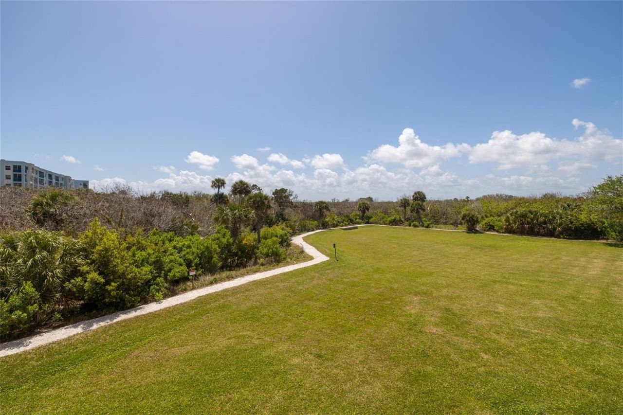 5300 S Atlantic Avenue, Unit 6-207, New Smyrna Beach, FL 32169 Photo