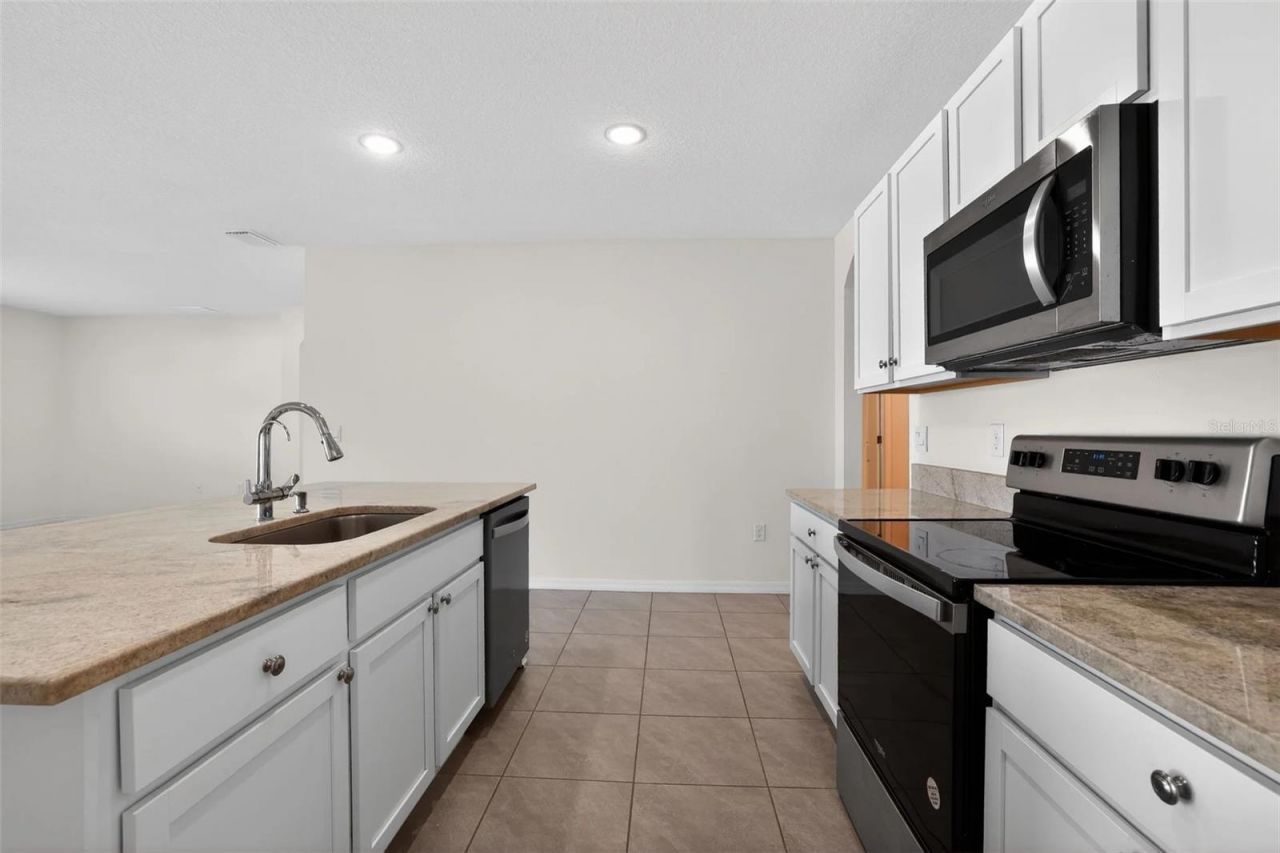 34211 Jasper Stone Drive, Wesley Chapel, FL 33543 Photo