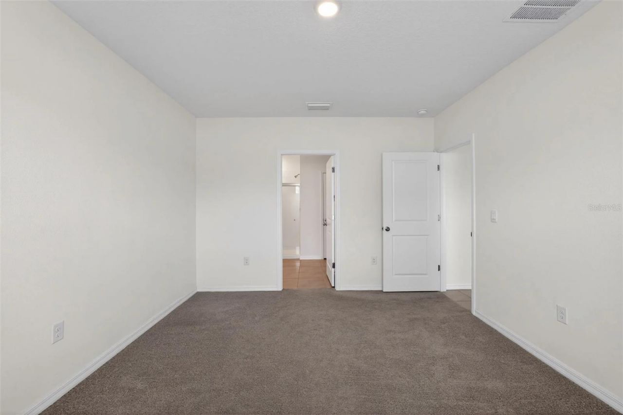 34211 Jasper Stone Drive, Wesley Chapel, FL 33543 Photo