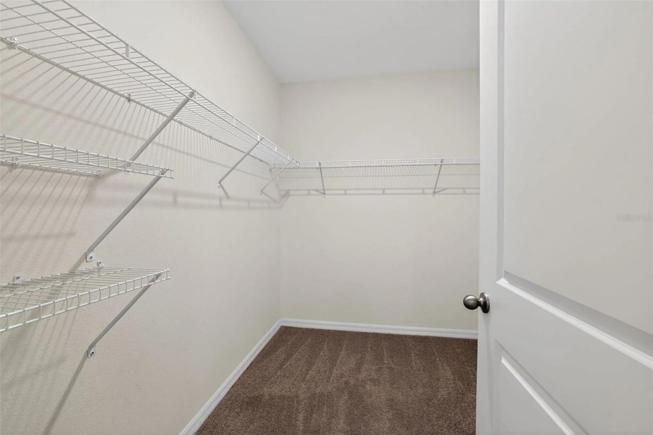 34211 Jasper Stone Drive, Wesley Chapel, FL 33543 Photo