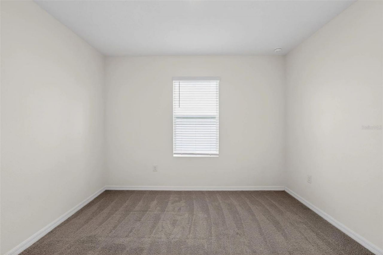 34211 Jasper Stone Drive, Wesley Chapel, FL 33543 Photo