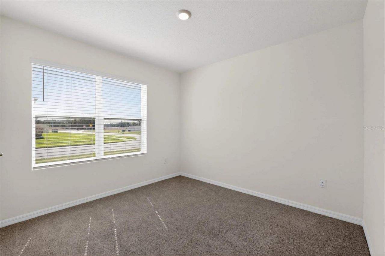 34211 Jasper Stone Drive, Wesley Chapel, FL 33543 Photo