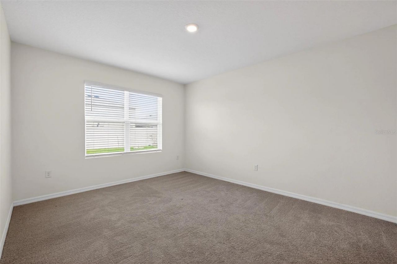 34211 Jasper Stone Drive, Wesley Chapel, FL 33543 Photo
