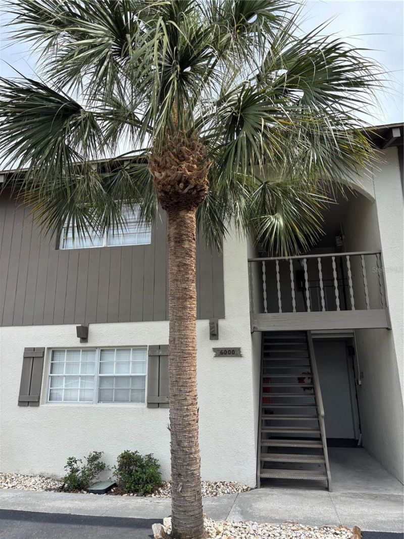 6000 1st Avenue S, Unit 14, Saint Petersburg, FL 33707 Photo