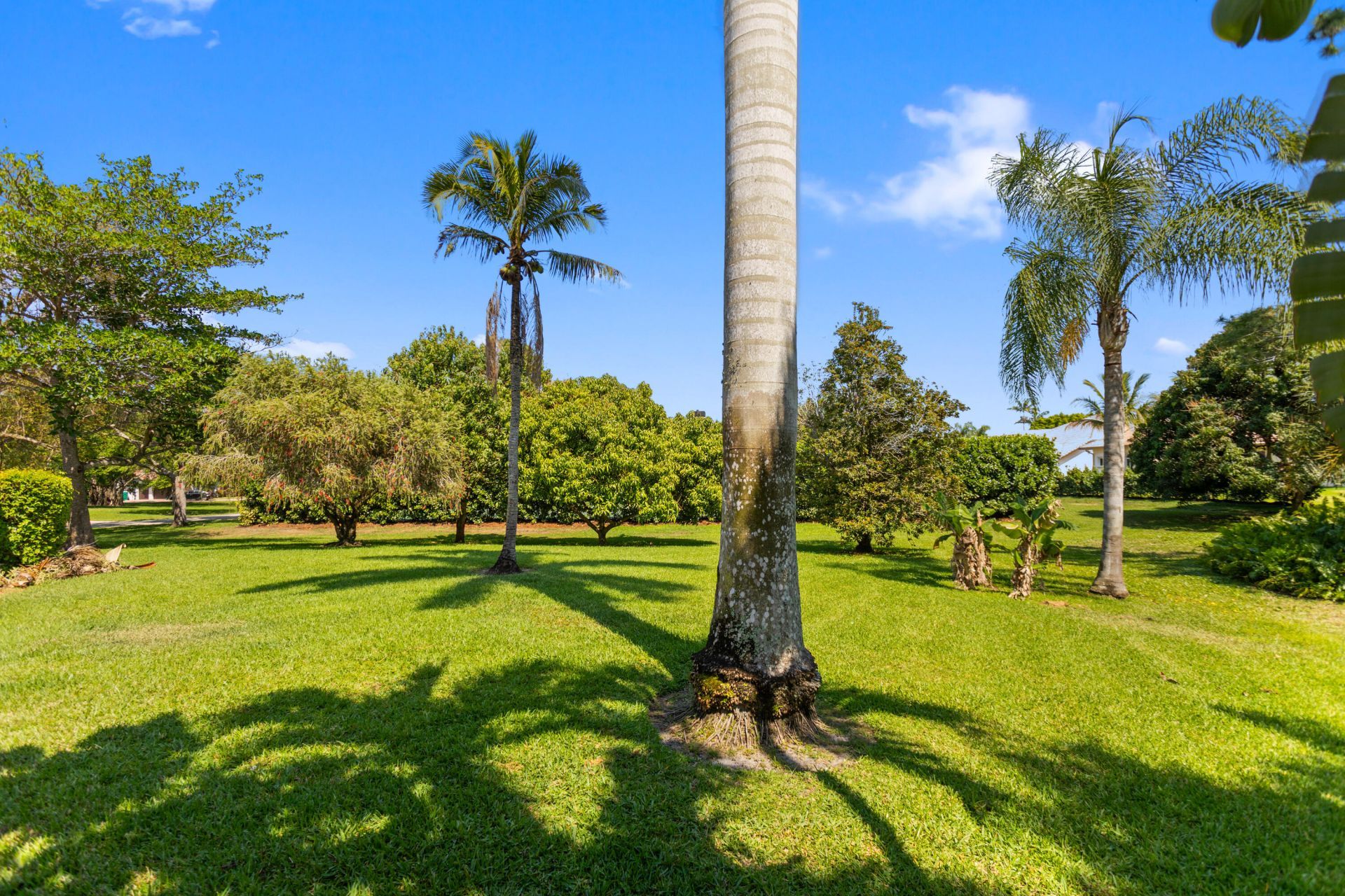 7200 Cutter Court, Parkland, FL 33067 Photo