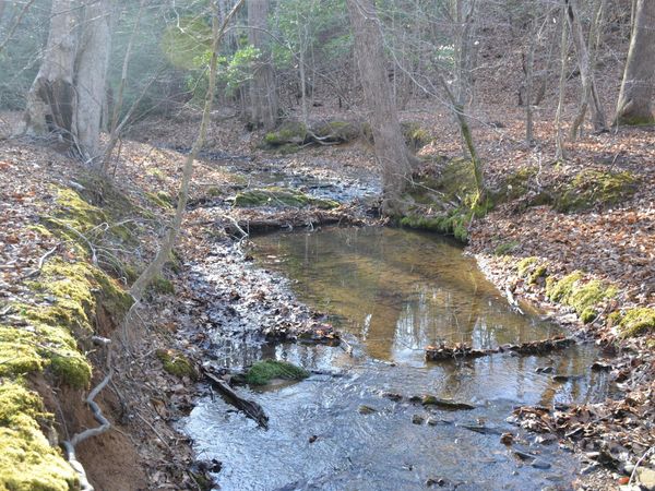 15796 E Gretna RD, Gretna, VA 24557