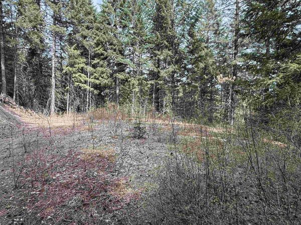 NNA Buck Creek Rd, Loon Lake, WA 99148
