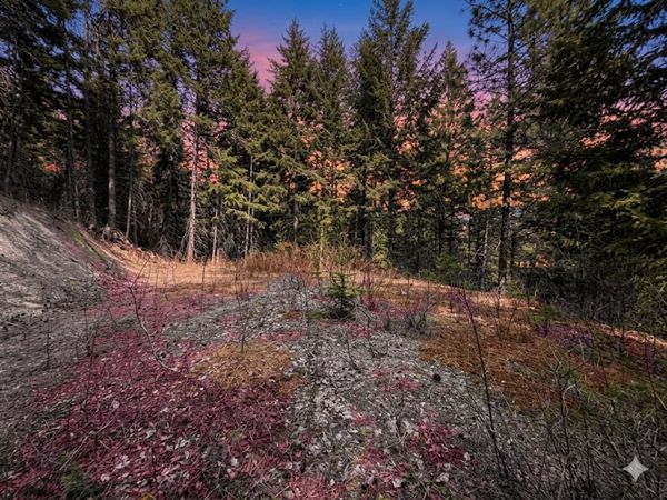 NNA Buck Creek Rd, Loon Lake, WA 99148