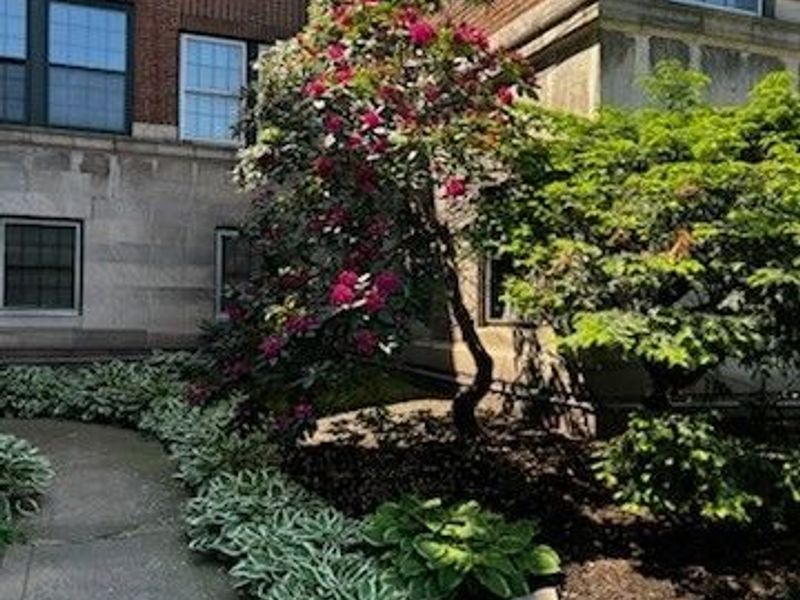 11430 Cedar Glen Parkway, Unit B1-B2, Cleveland, OH 44106 Photo 37