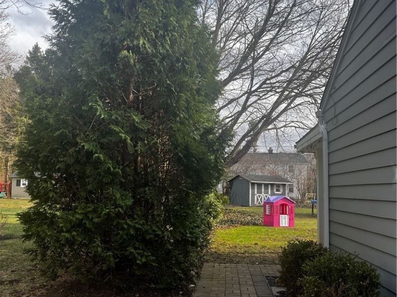 8260 Windham Drive , Mentor, OH 44060 Photo 2