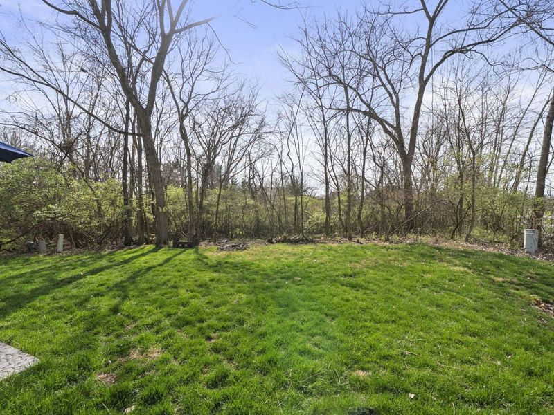 257 Wagon Trail S, Powell, OH 43065 Photo 56