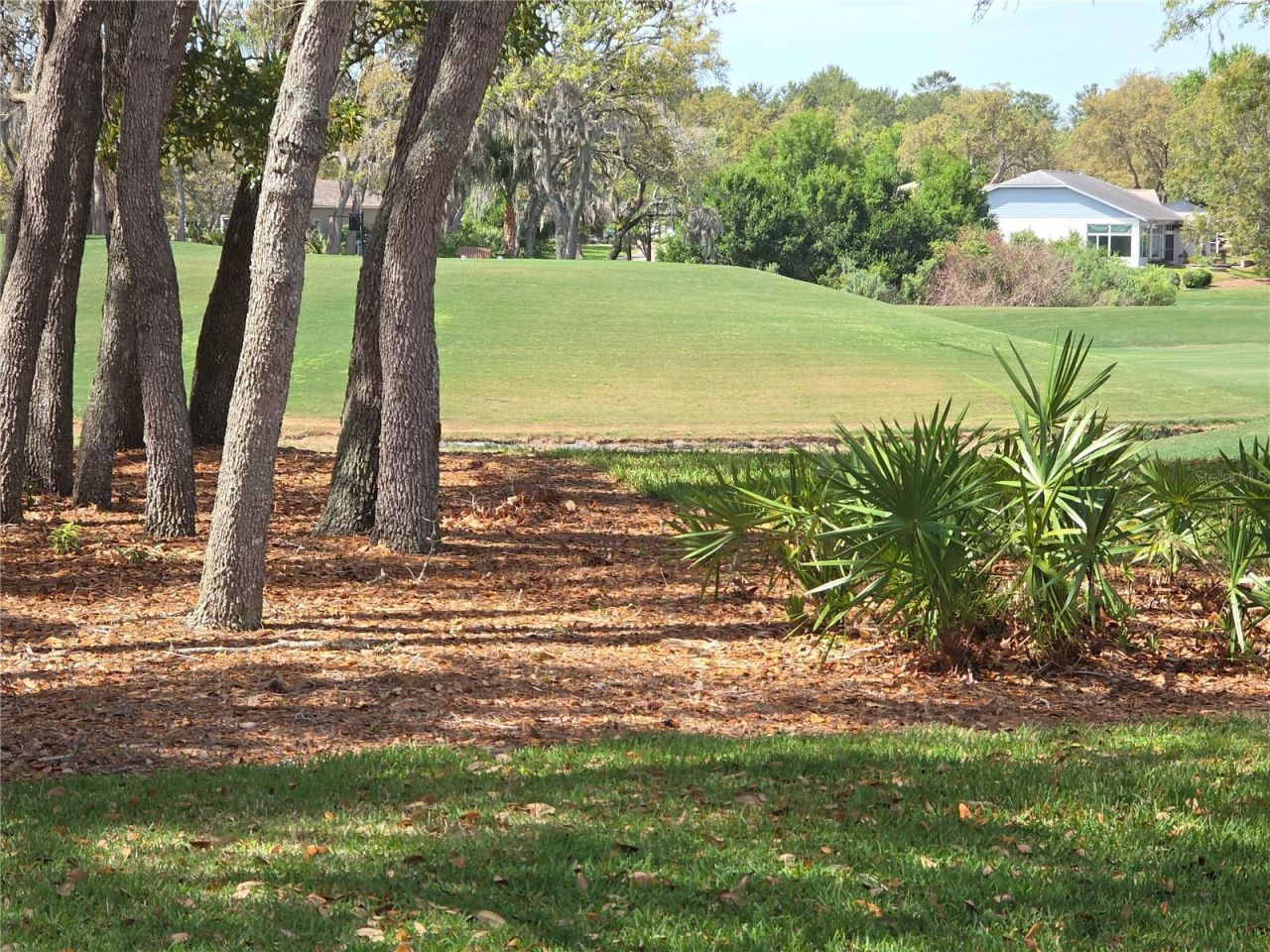 2019 Quailwood Lane , Spring Hill, FL 34606 Photo