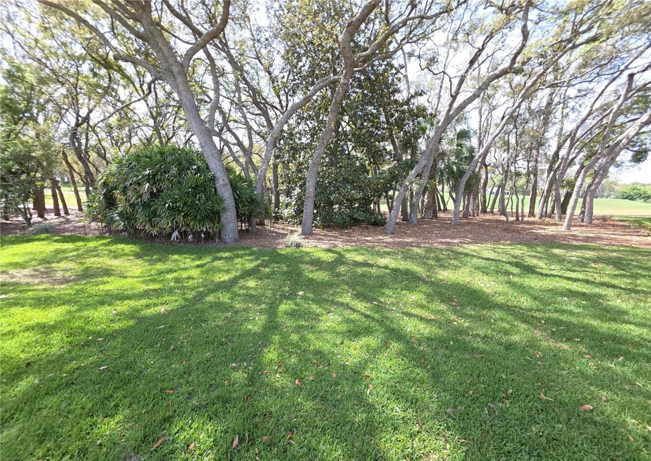 2019 Quailwood Lane , Spring Hill, FL 34606 Photo