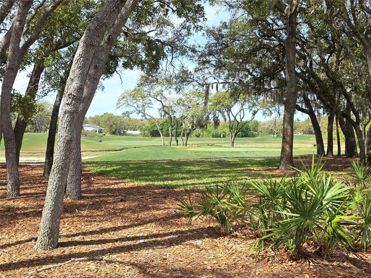 2019 Quailwood Lane , Spring Hill, FL 34606 Photo