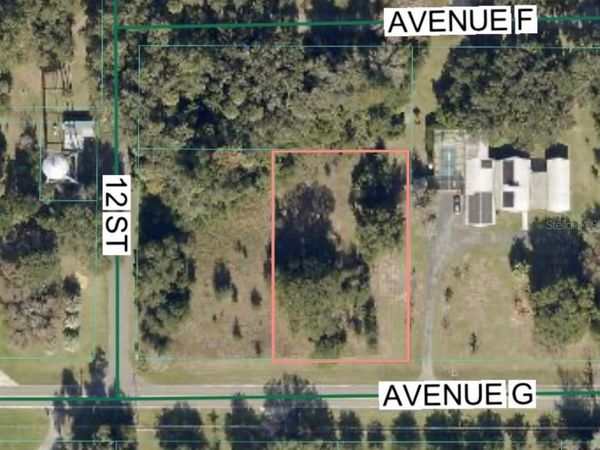 AVENUE G , MC INTOSH, FL 32664