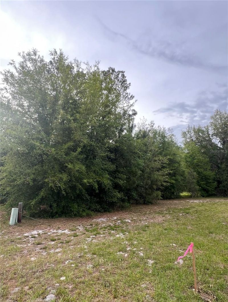 Avenue G , Mc Intosh, FL 32664 Photo