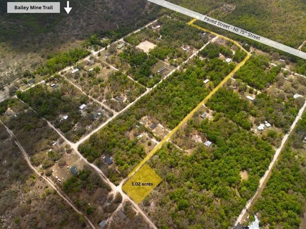 00 NE 131ST TERRACE , BRONSON, FL 32621