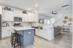 209 Night Heron Street photo 4