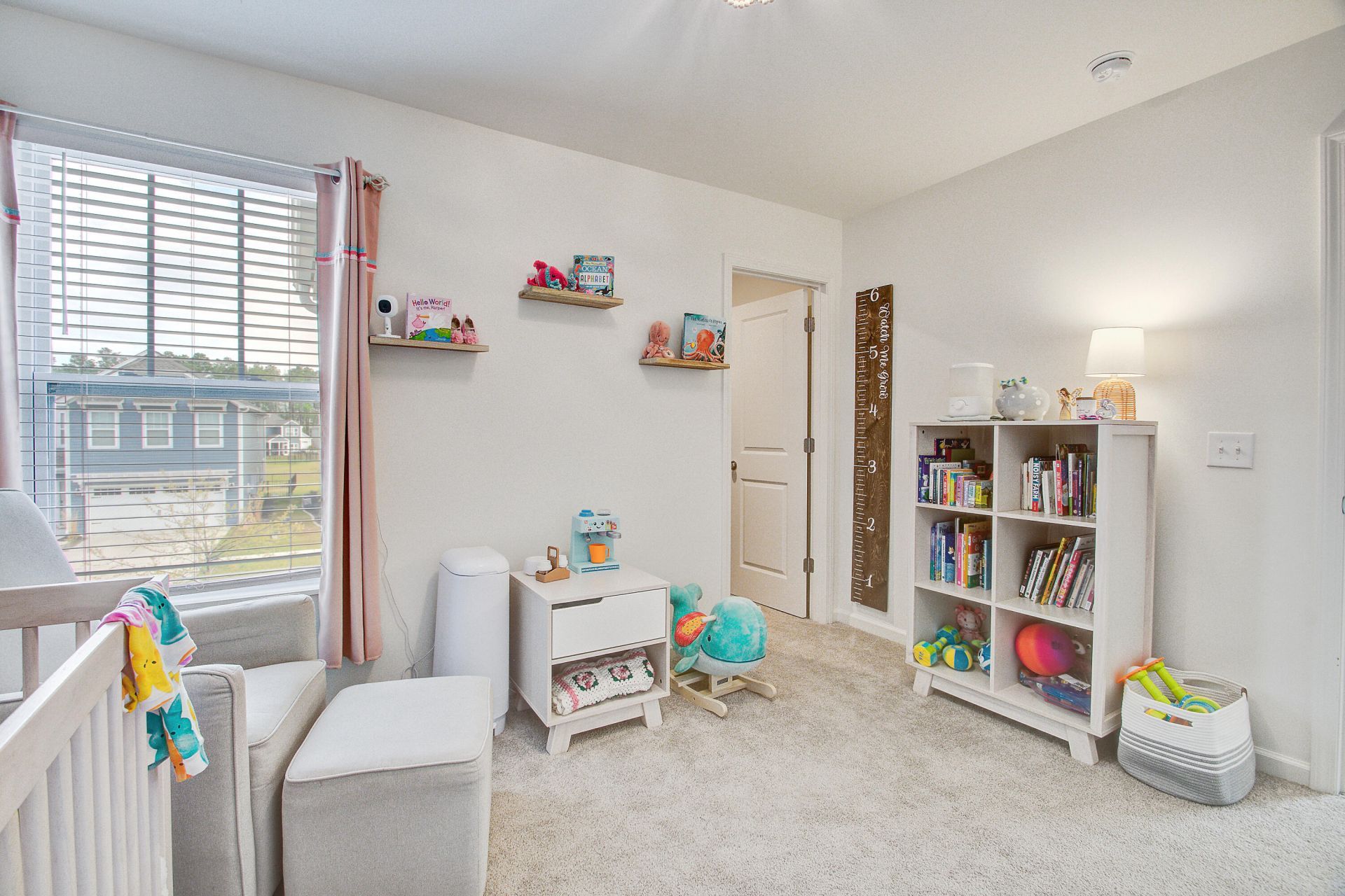 209 Night Heron Street Photo 30