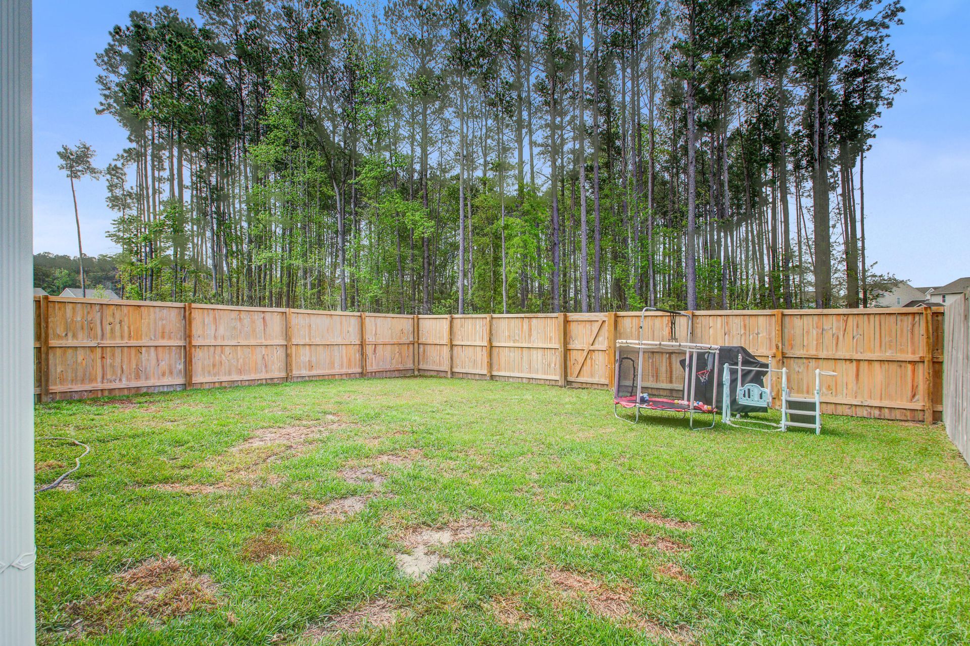 209 Night Heron Street Photo 38