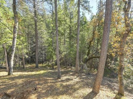 5060 Chestnut Ct, Georgetown, CA 95634 Photo