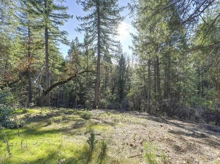 5060 Chestnut Ct, Georgetown, CA 95634 Photo