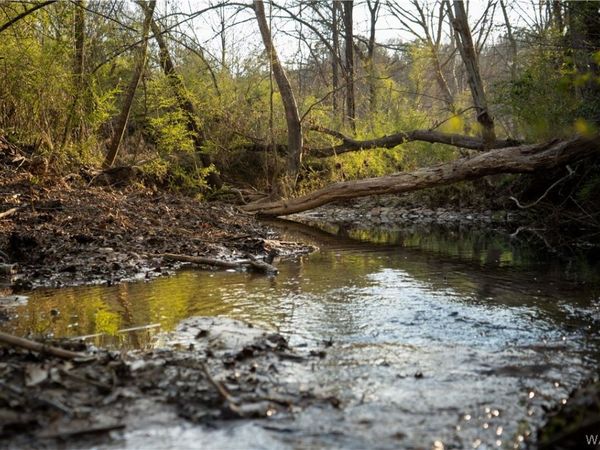 TBD Prudes Creek Rd., Brookwood, AL 35444