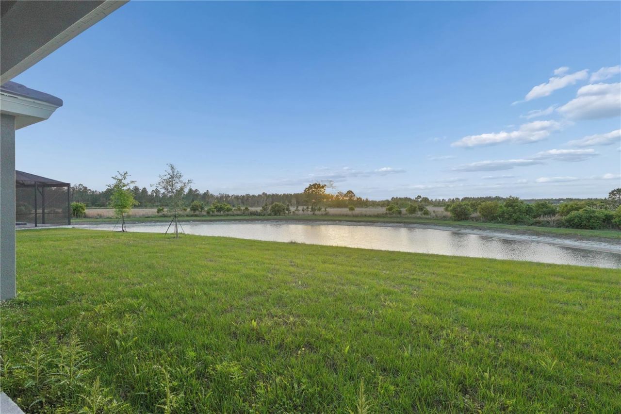 1953 Arching Branch, Zephyrhills, FL 33541 Photo