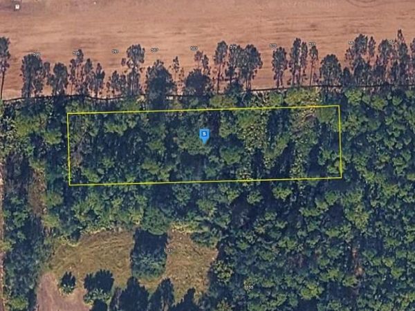 1165 CLIFFHAVEN COURT, ORMOND BEACH, FL 32174