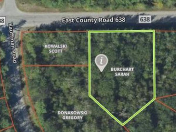 L 446-447 E County Rd 638, Presque Isle, MI 49777