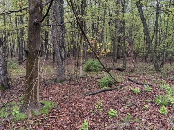 Lot 2 Christopher Lane, South Haven, MI 49090