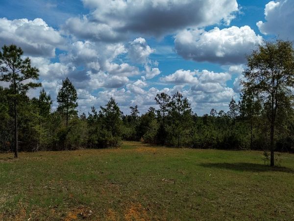 1 Harrell Road, Parrott, GA 39877