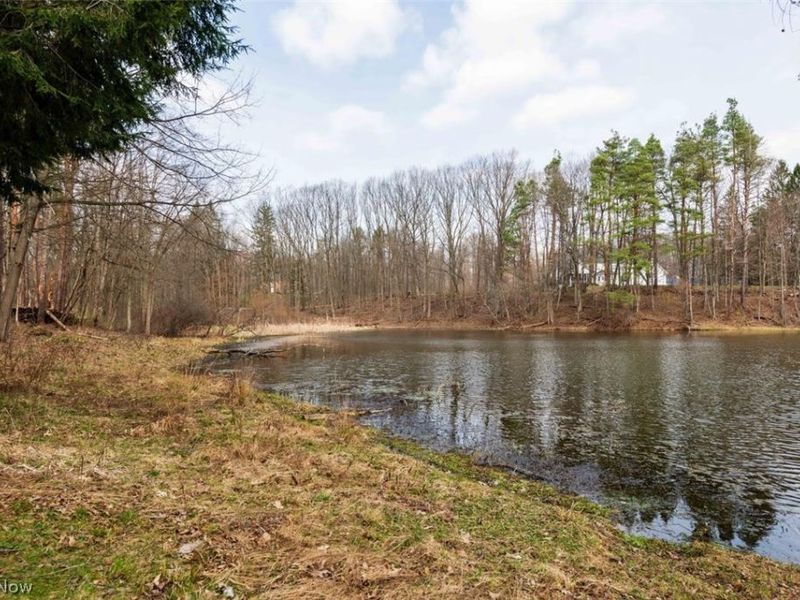 13905 Aquilla Road , Burton, OH 44021 Photo 44