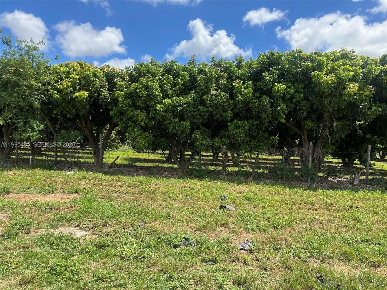 Sw 344 St. , Homestead, FL 33034 Photo