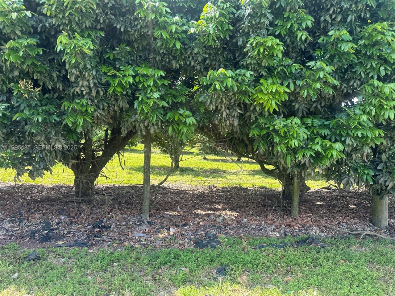 Sw 344 St. , Homestead, FL 33034 Photo