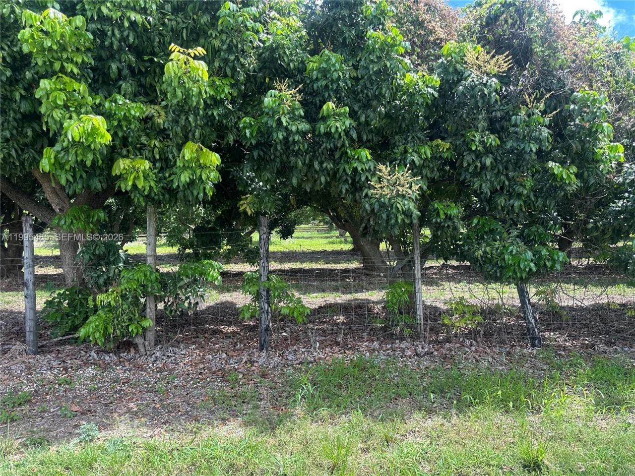 Sw 344 St. , Homestead, FL 33034 Photo